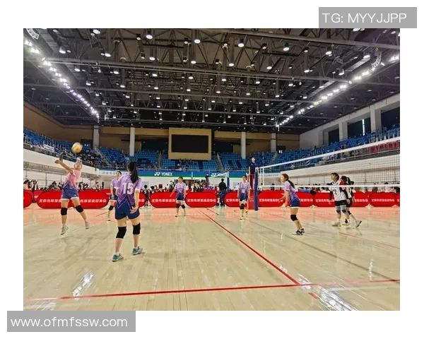 北京排球队的精神风貌与团队意识探讨:排球运动中的凝聚力与协作精神