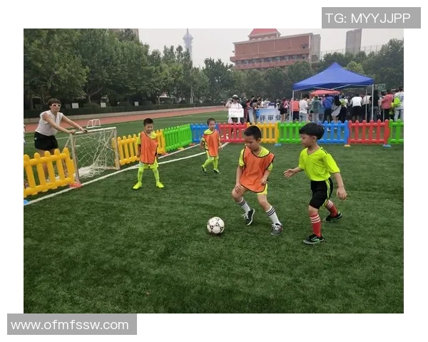 探索d组足球的战术魅力与球队风采,揭示赛场背后的精彩故事与球员心声