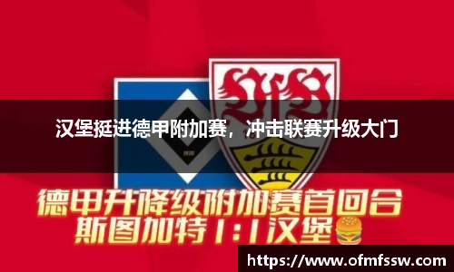 汉堡挺进德甲附加赛，冲击联赛升级大门