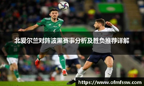 北爱尔兰对阵波黑赛事分析及胜负推荐详解